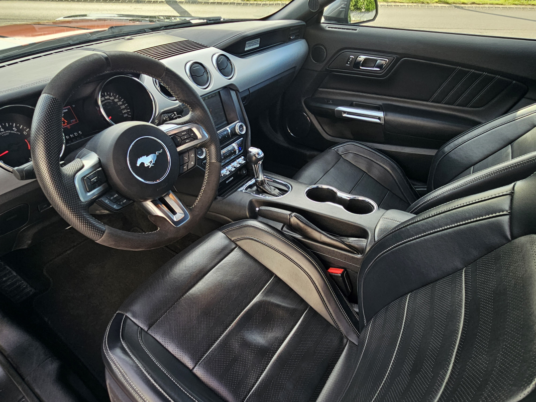 Ford Mustang Fastback — 15