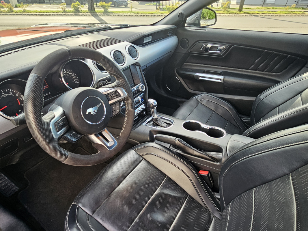 Ford Mustang Fastback — 29