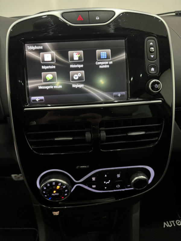 Renault Clio — 31