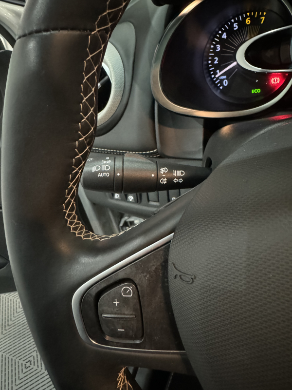 Renault Clio — 24