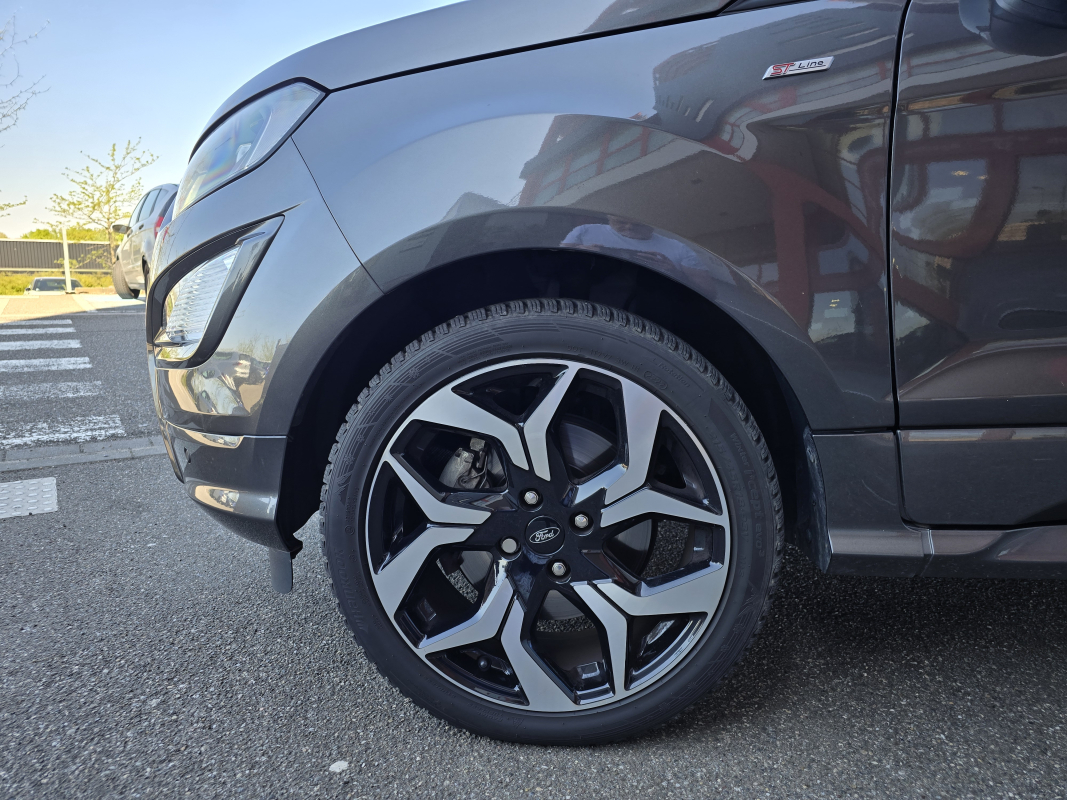 Ford Ecosport — 30