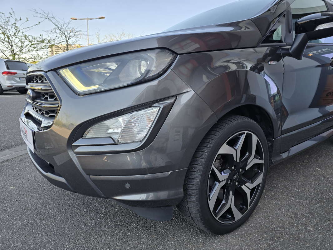 Ford Ecosport — 31