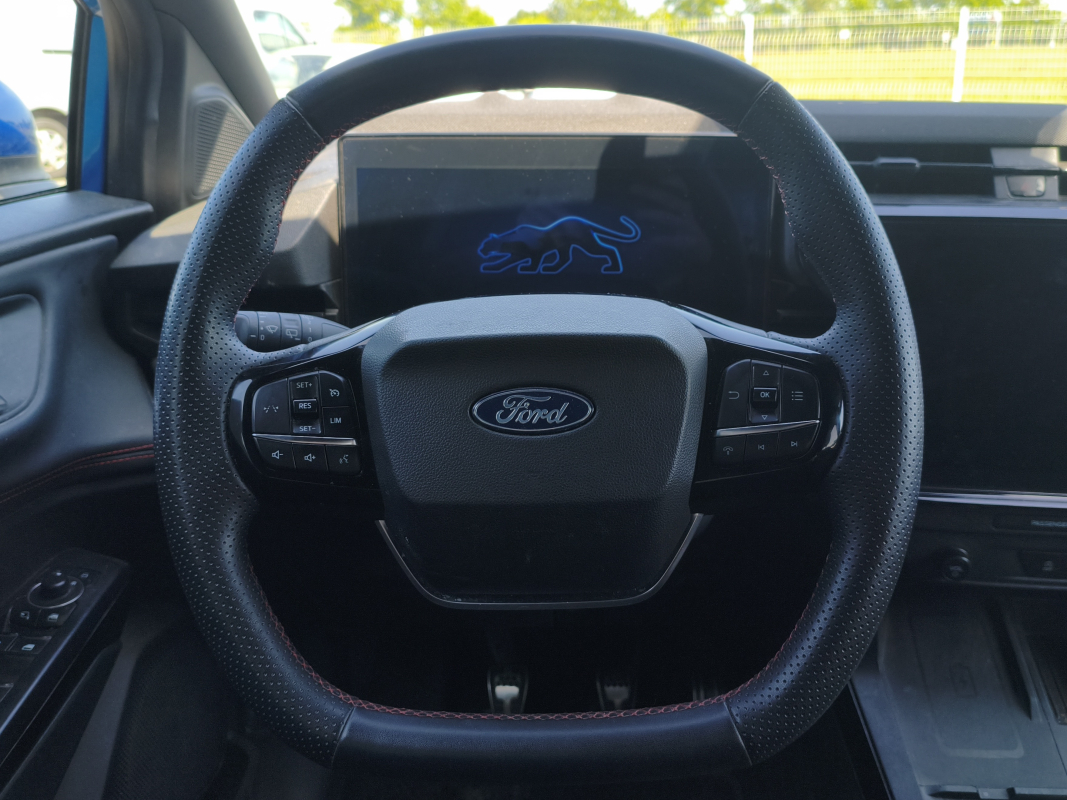 Ford Puma — 14