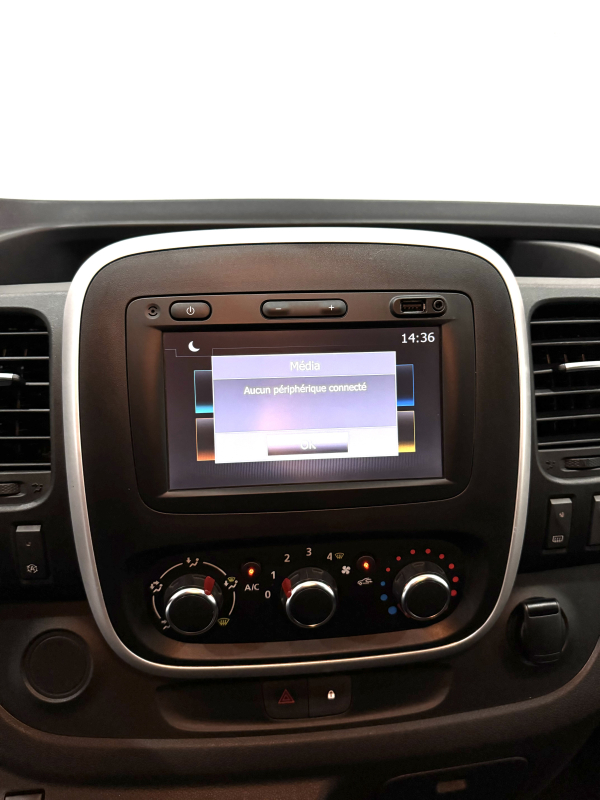 Renault Trafic — 29