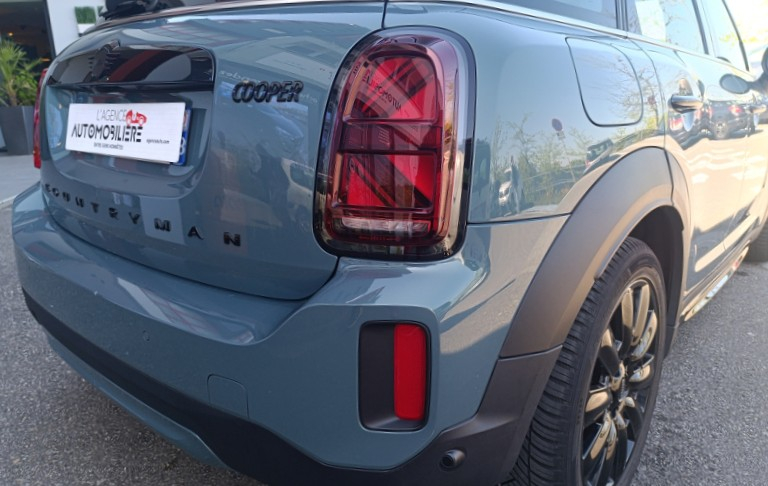 Mini Mini Countryman — 29