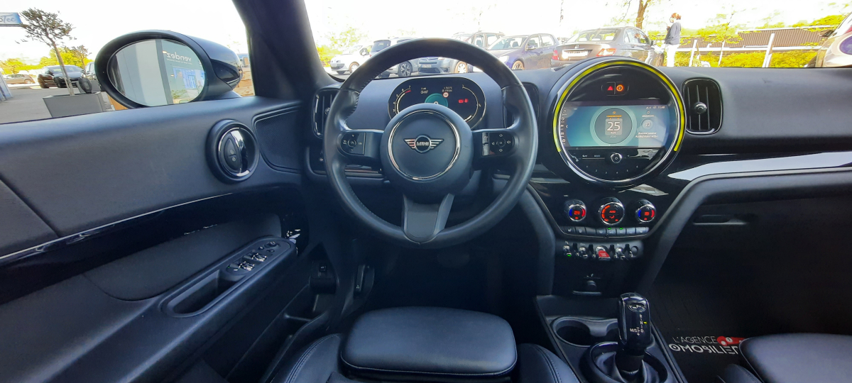 Mini Mini Countryman — 17