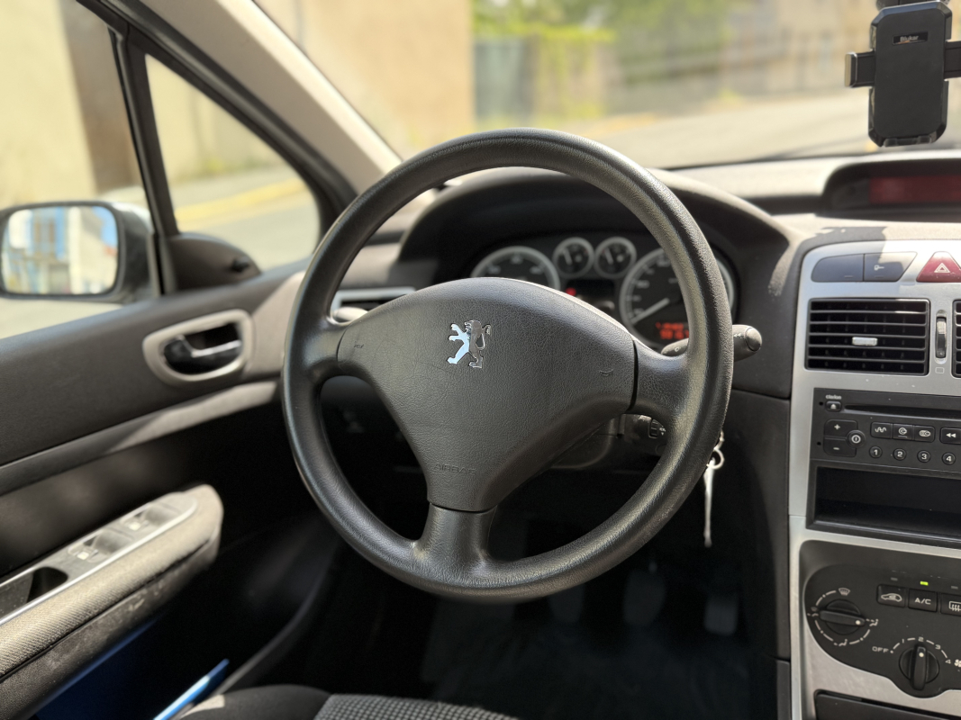 Peugeot 307 — 12