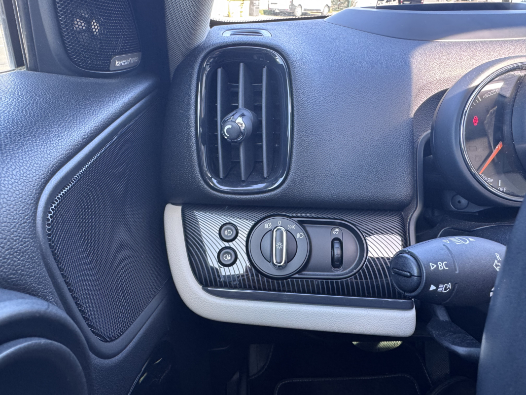 Mini Mini Countryman — 22