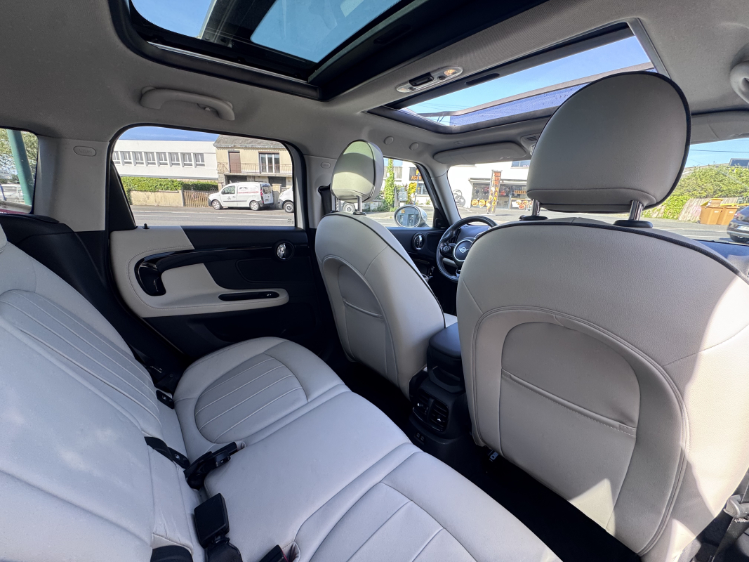 Mini Mini Countryman — 29
