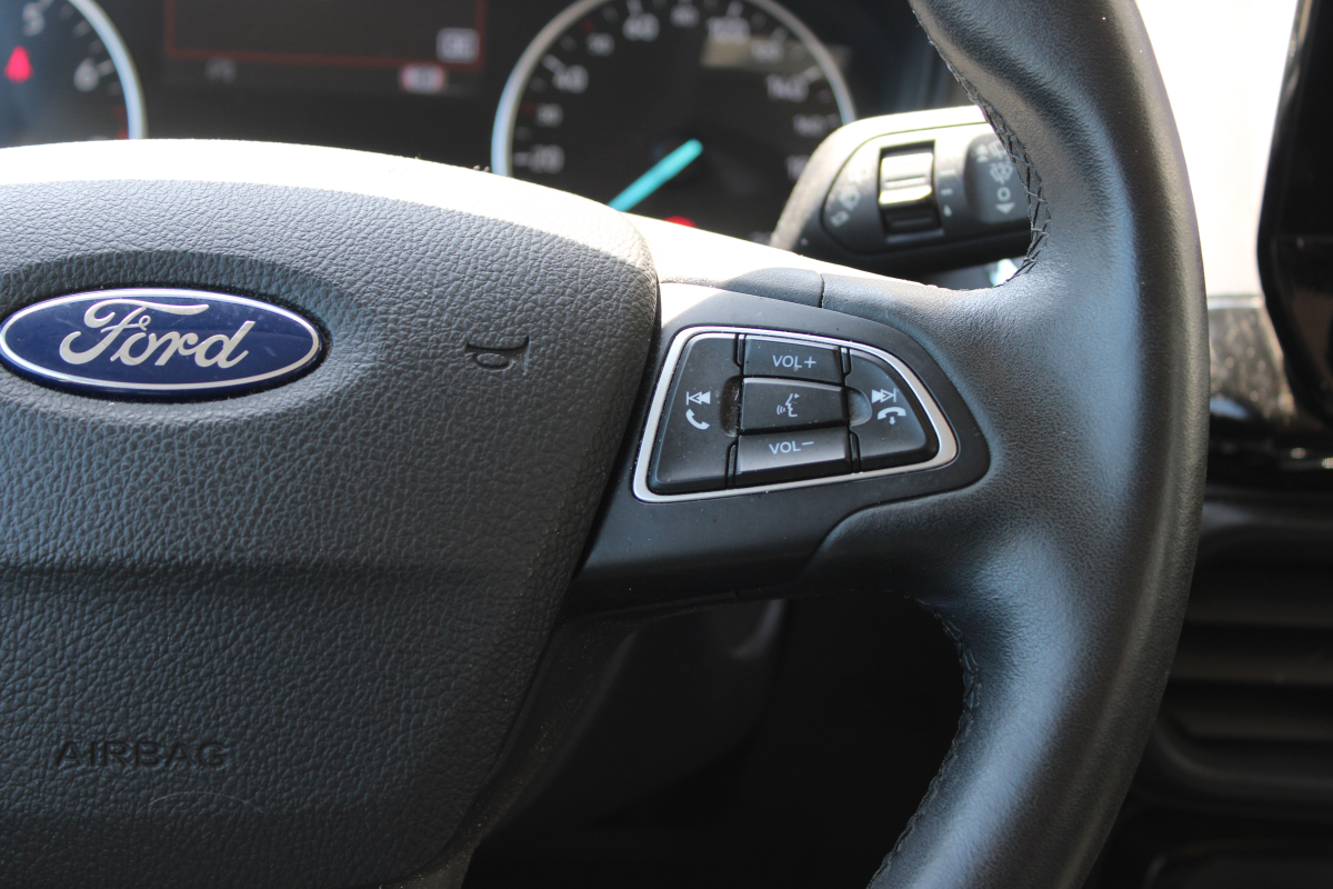Ford Ecosport — 25