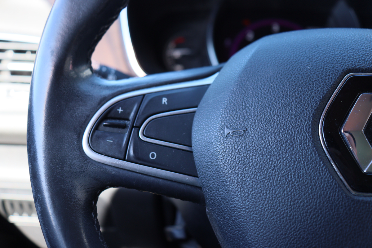 Renault Megane — 32