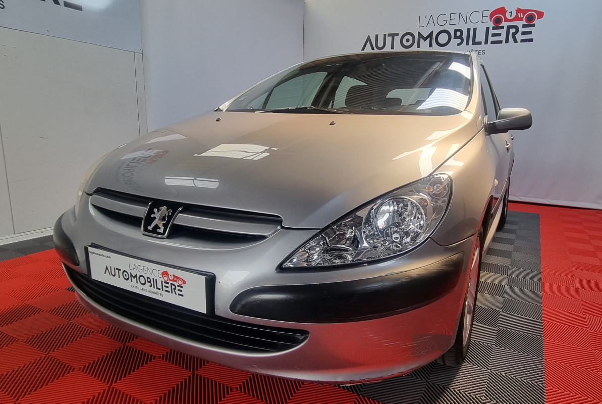Peugeot 307 — 29