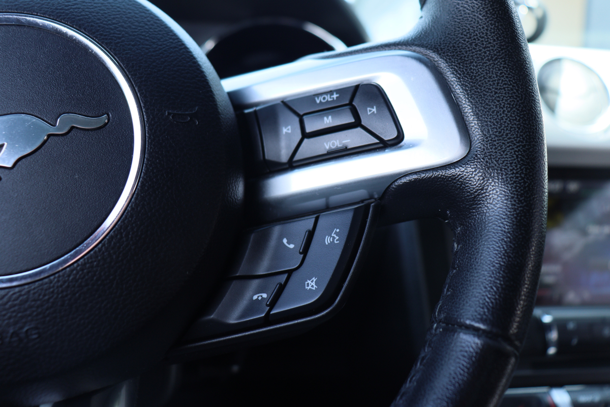 Ford Mustang — 38