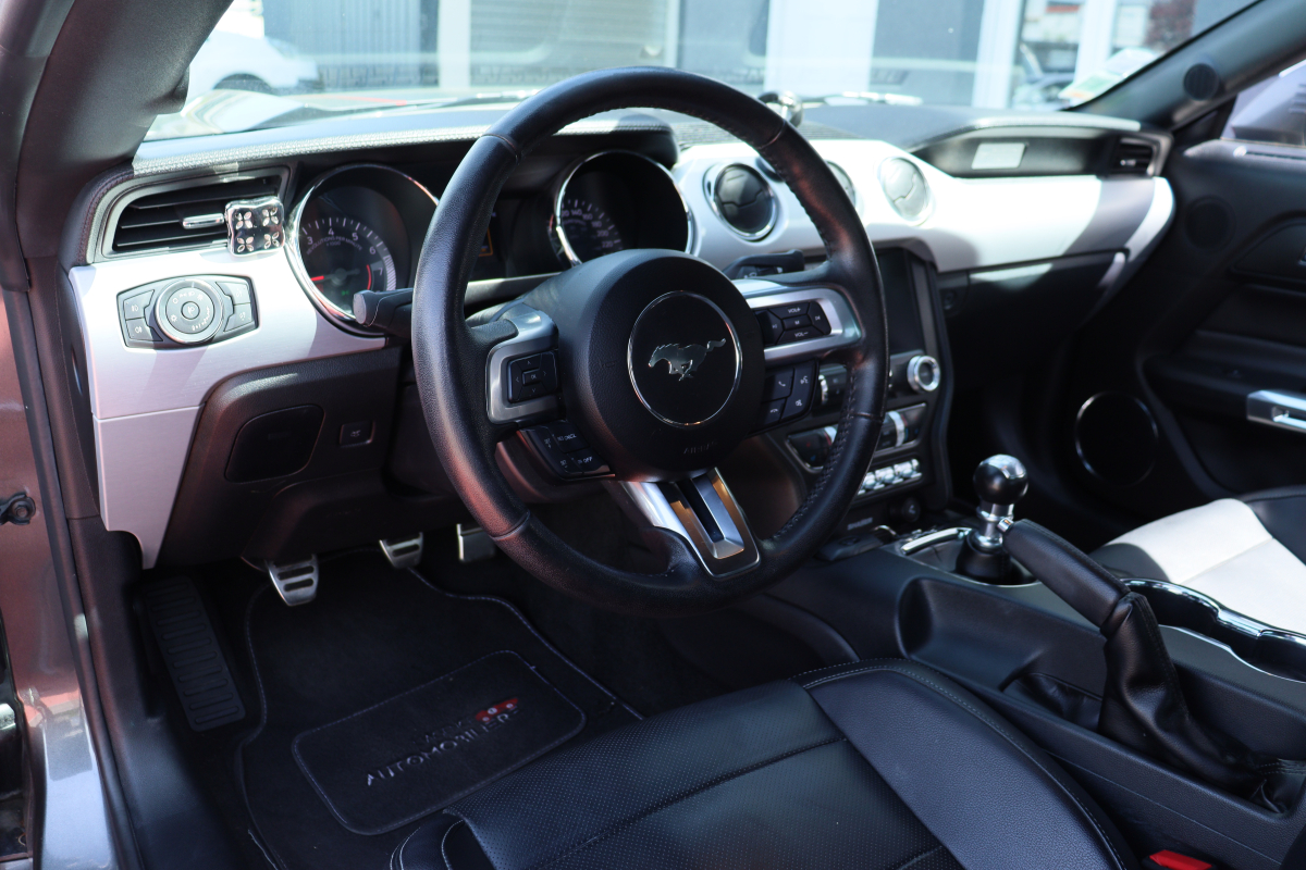 Ford Mustang — 14