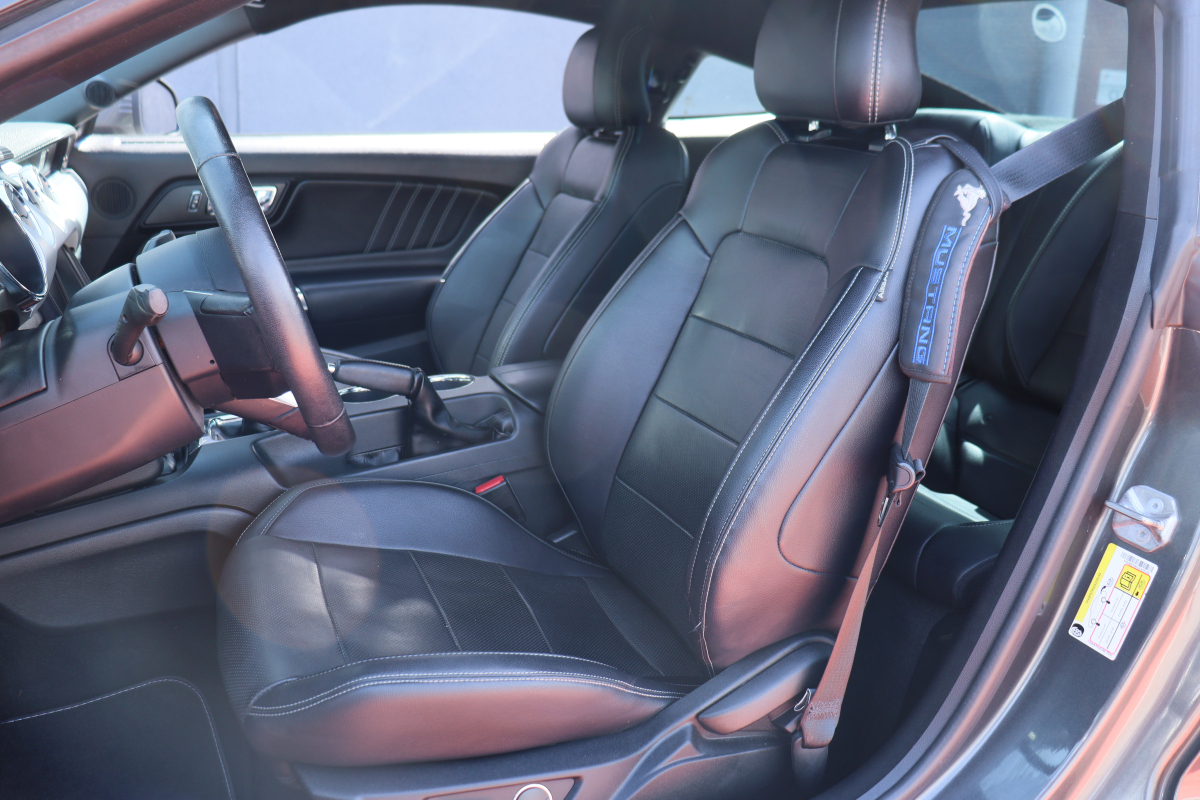 Ford Mustang — 15