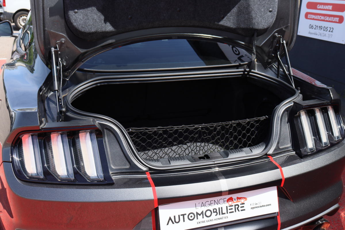 Ford Mustang — 21