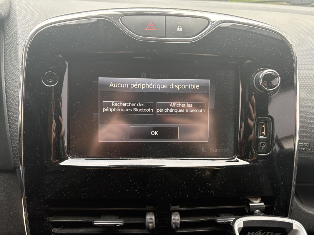 Renault Clio — 17