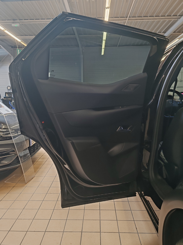 DS DS3 CBACK — 30