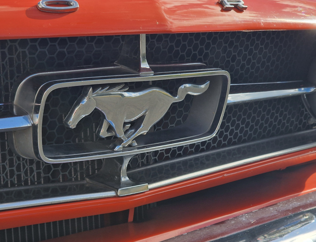 Ford Mustang — 33