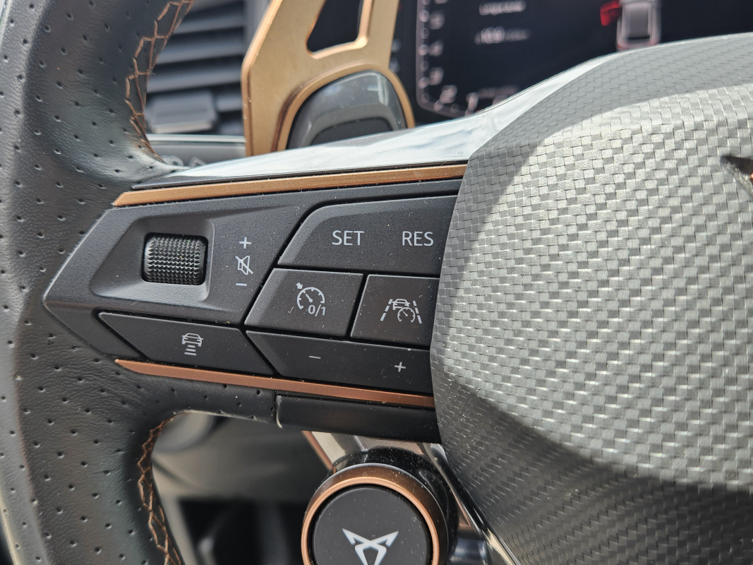 Cupra Ateca — 17