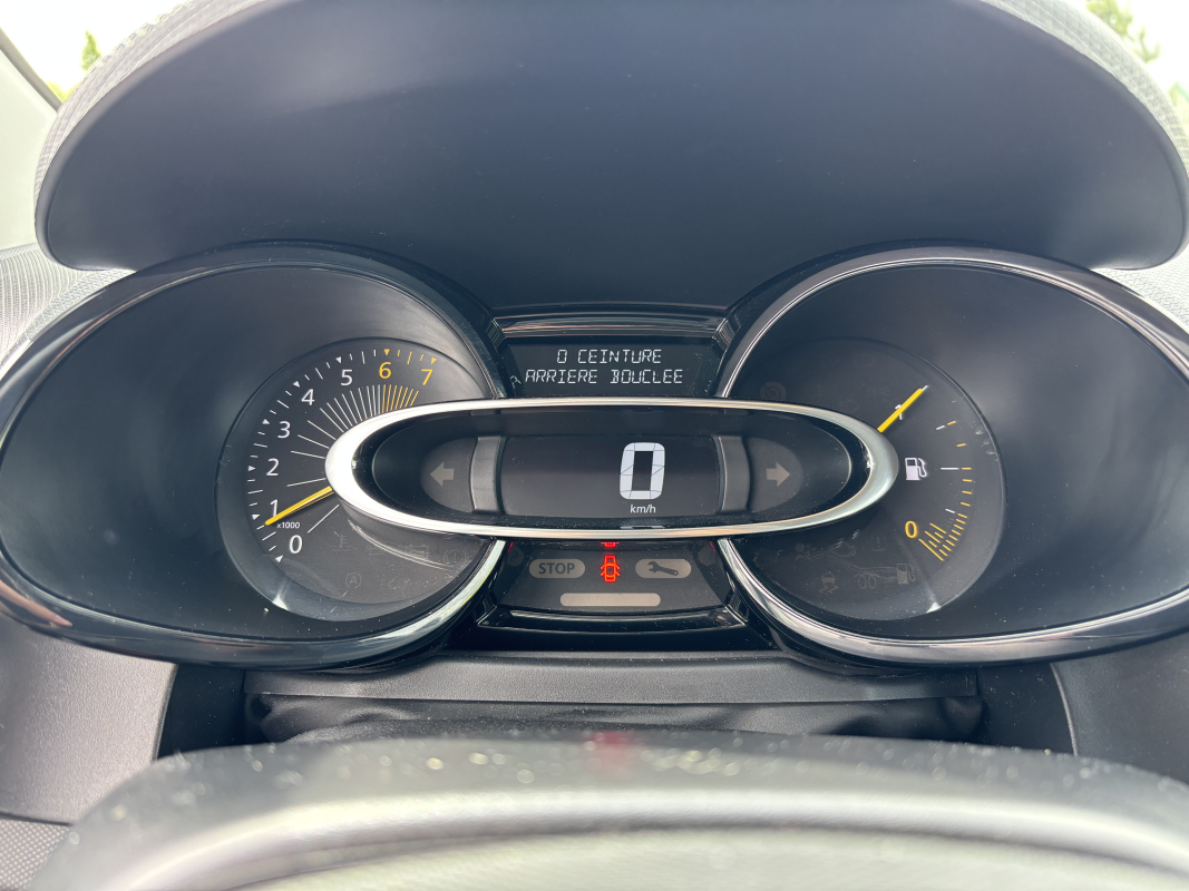 Renault Clio — 15