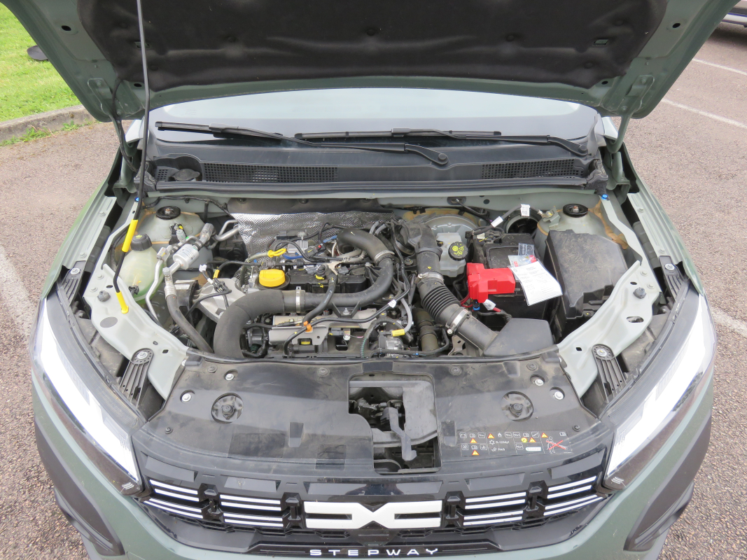 Dacia Sandero — 31
