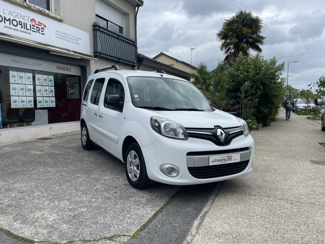 Renault Kangoo — 3