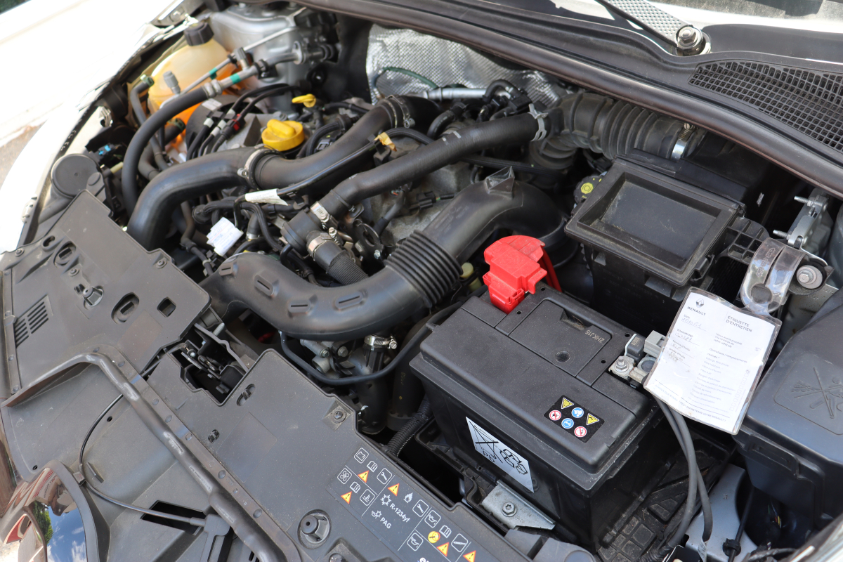 Renault Clio — 29