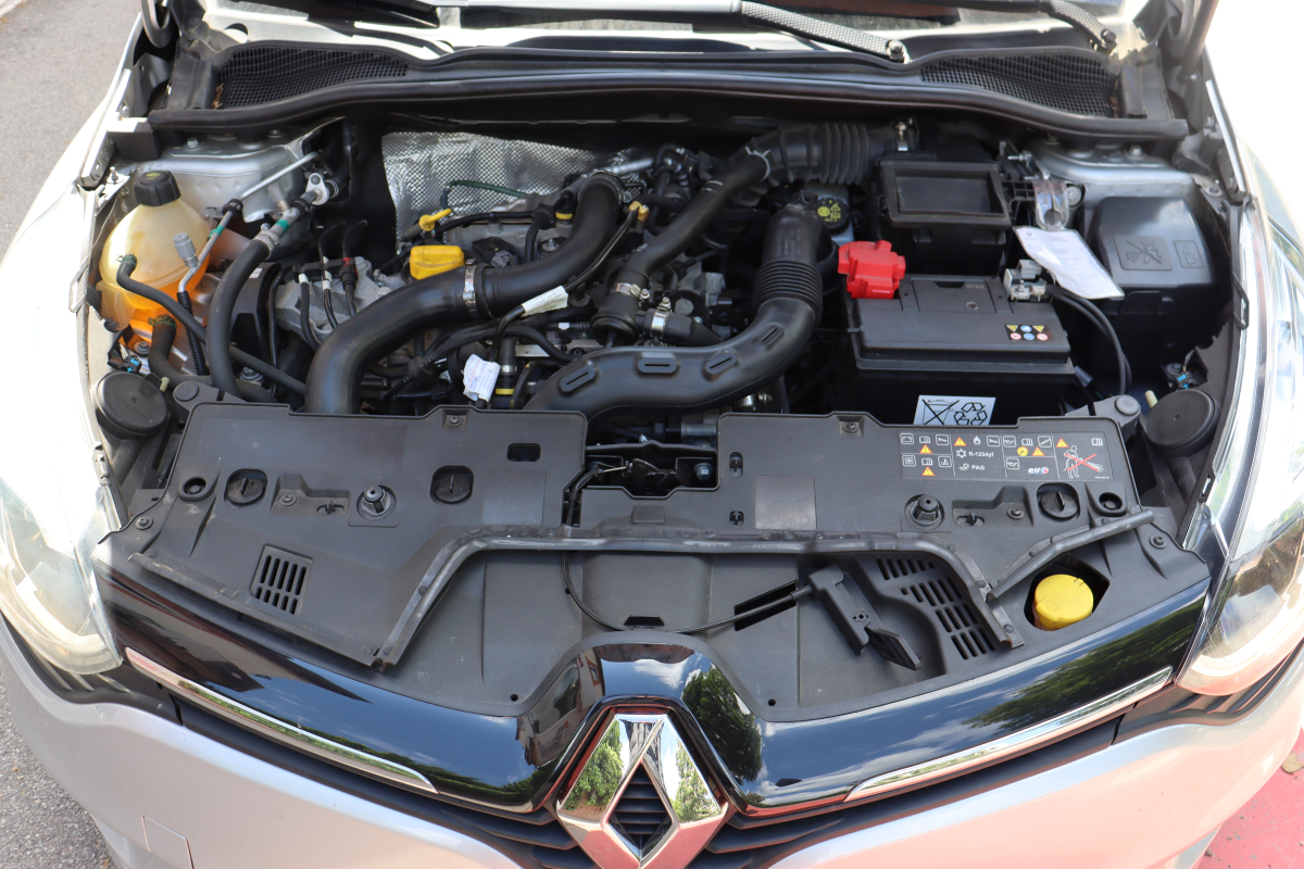 Renault Clio — 28