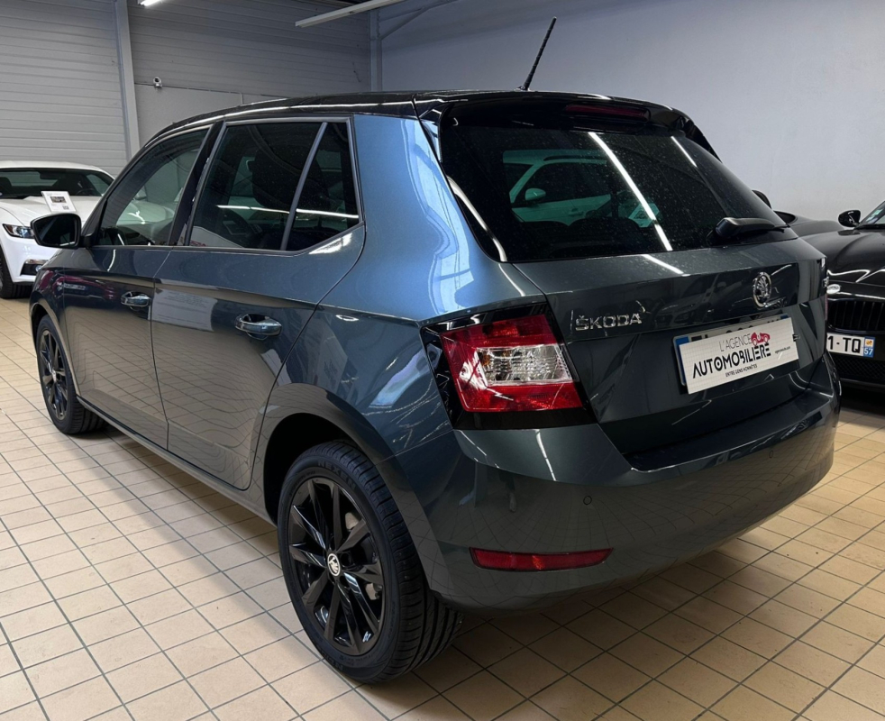 Skoda Fabia — 6