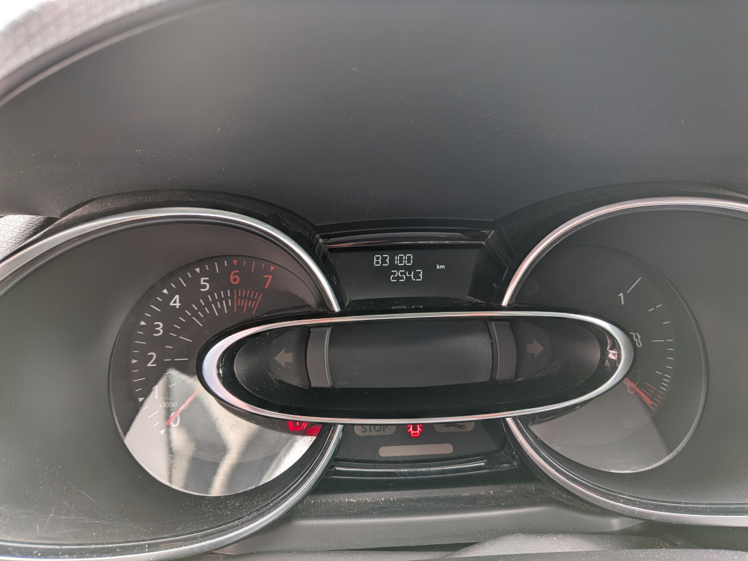 Renault Clio — 14