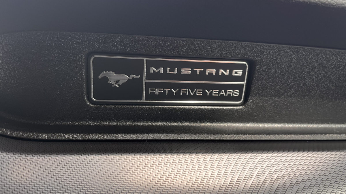 Ford Mustang Fastback — 36