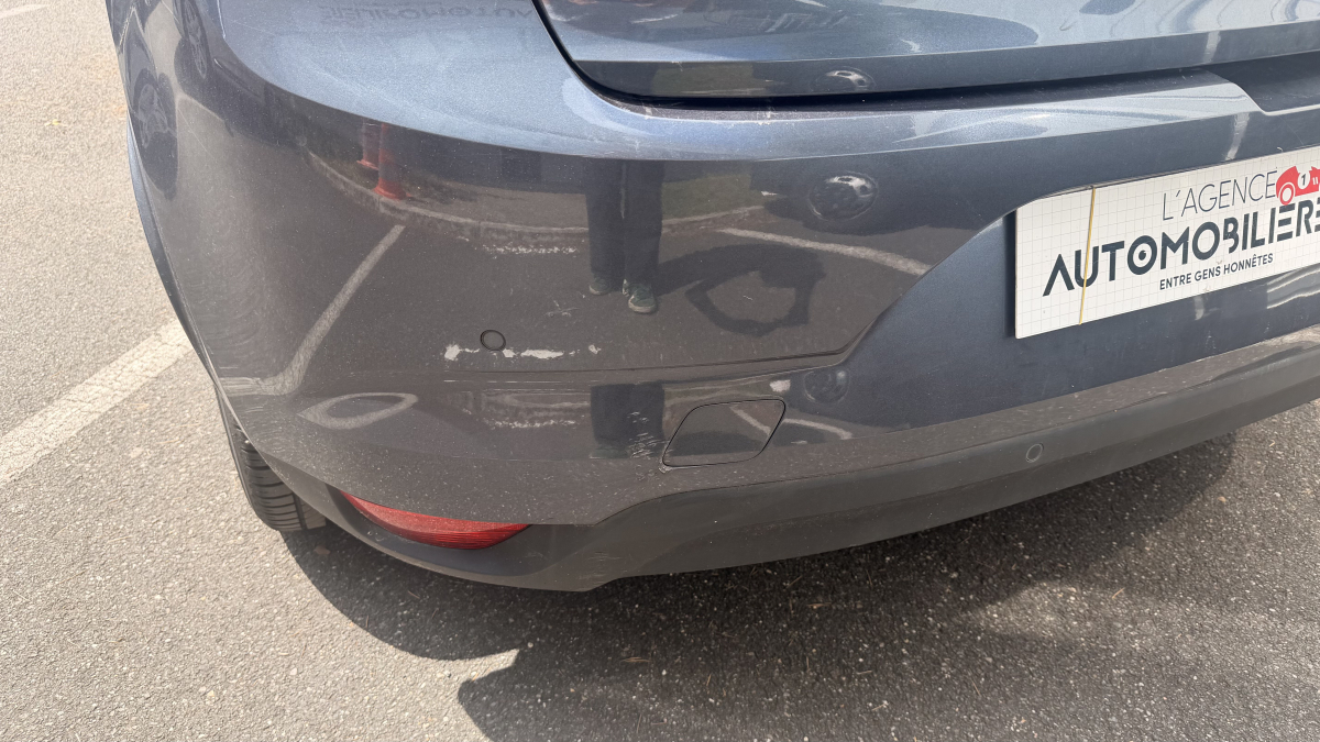 Renault Megane — 24