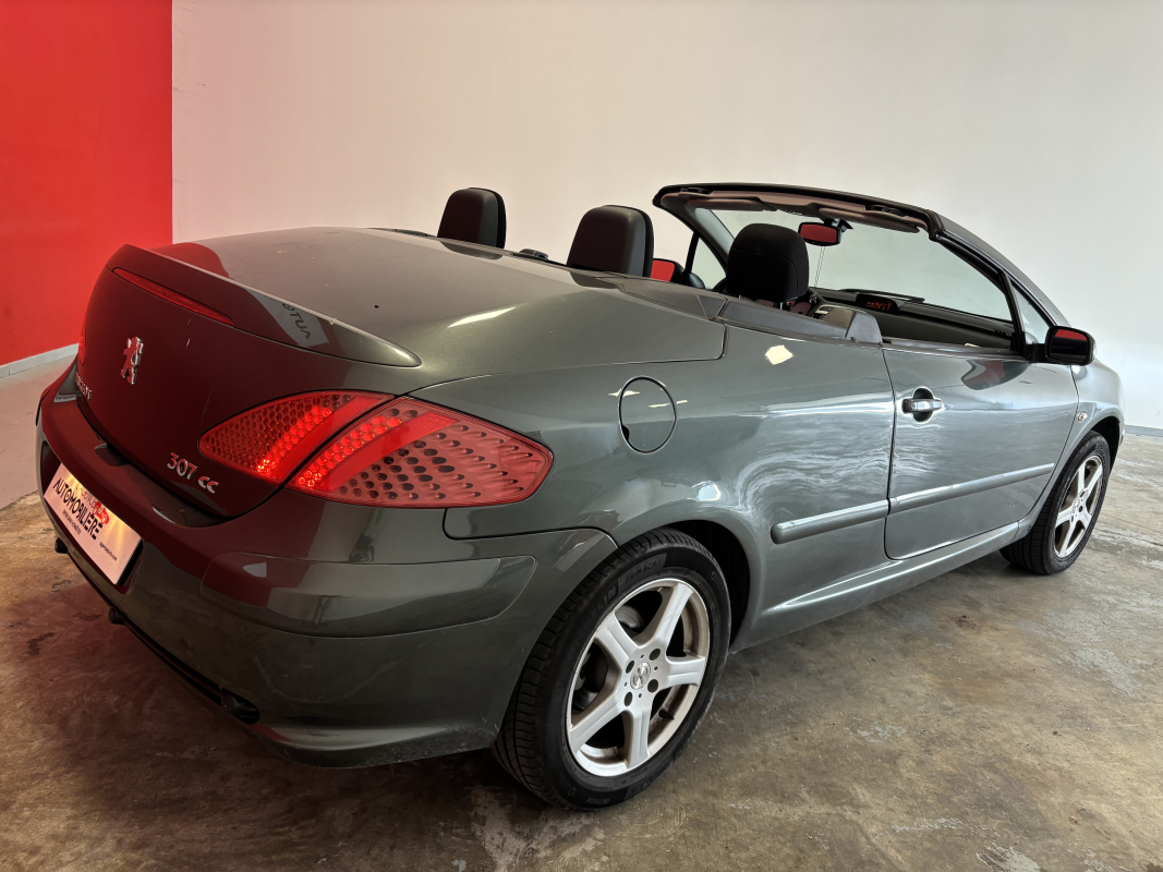 Peugeot 307 — 8