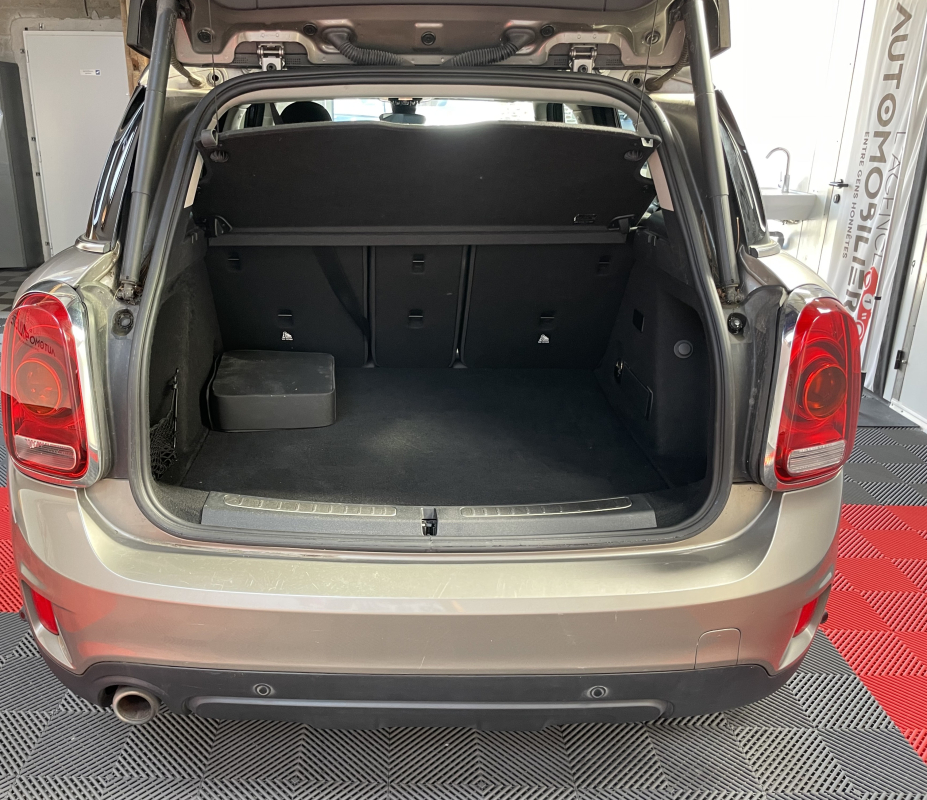 Mini Countryman — 22