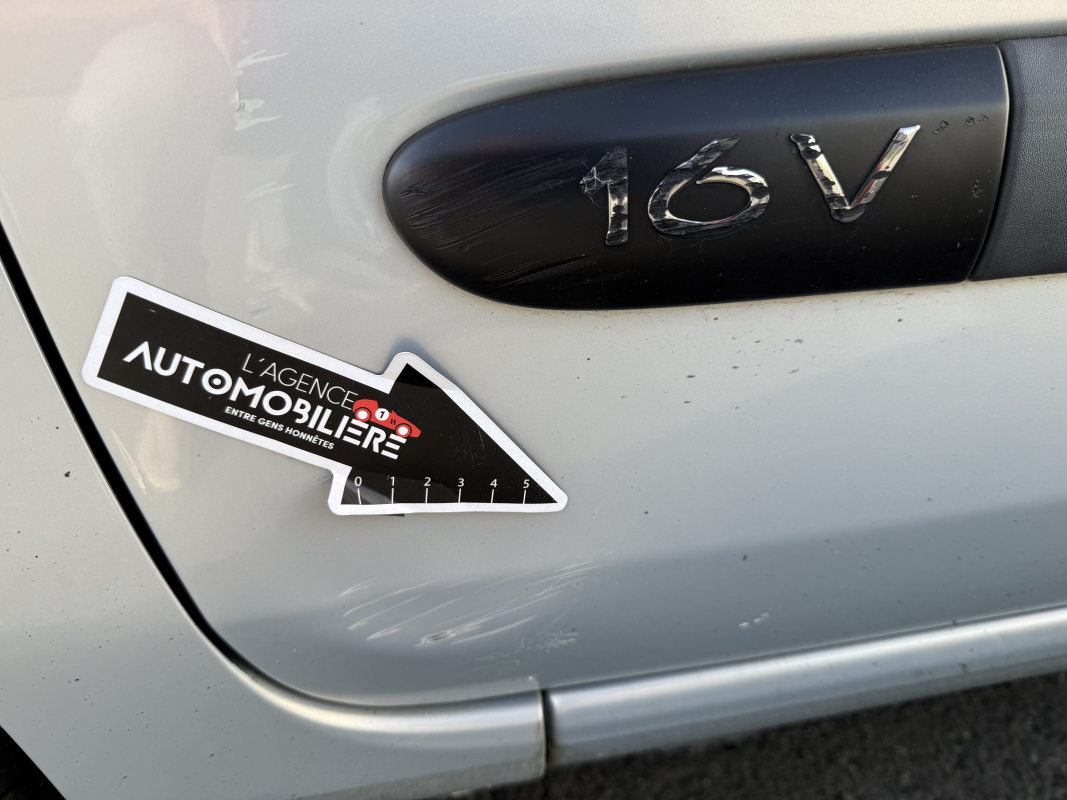 Renault Clio — 29
