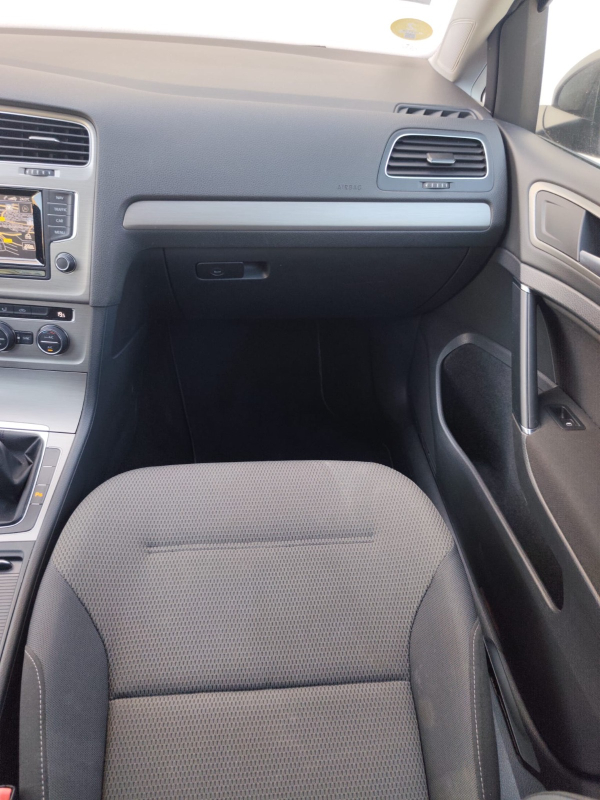 Volkswagen Golf SW — 22