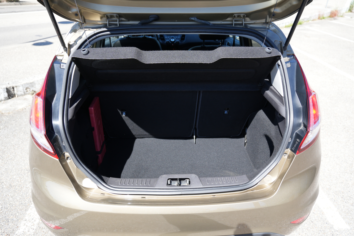 Ford Fiesta — 29