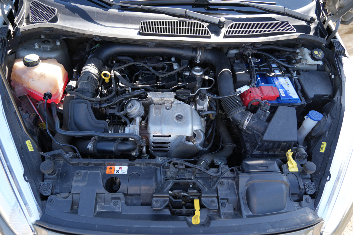 Ford Fiesta — 40