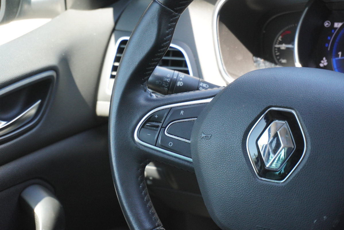 Renault Megane — 22