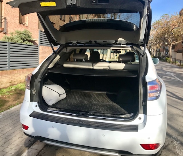 Lexus RX — 18