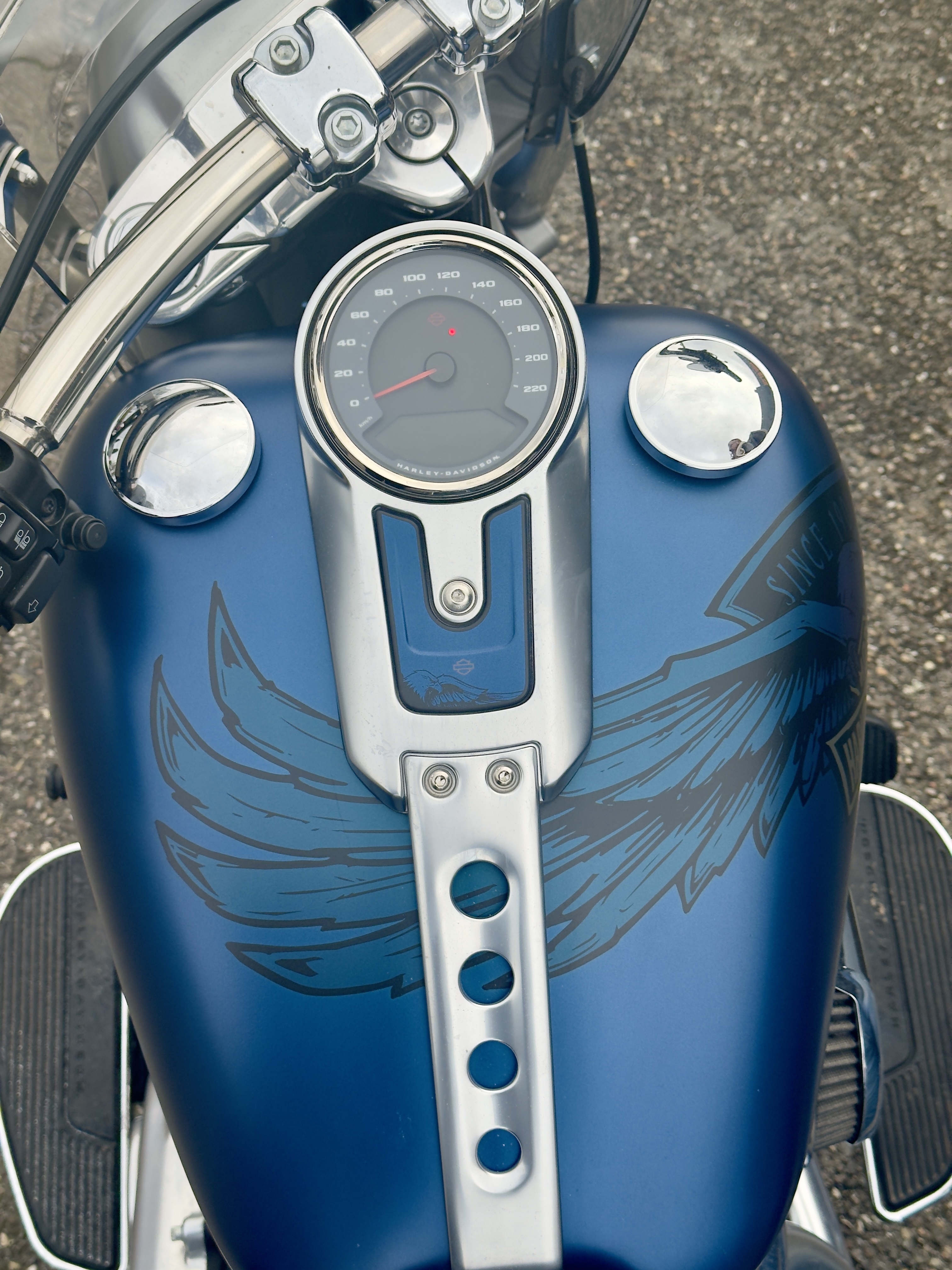 HARLEY.DAV fat boy 115th anniversaire FLFBS — 11